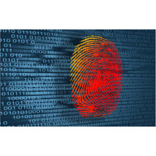 B.Sc - Digital Forensic Science & Cyber Security - 3 yr